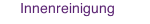 Innenreinigung